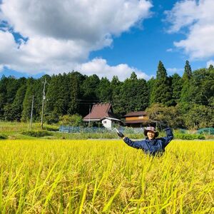 玄米 5kg 自然栽培 米 お米 無農薬 玄米