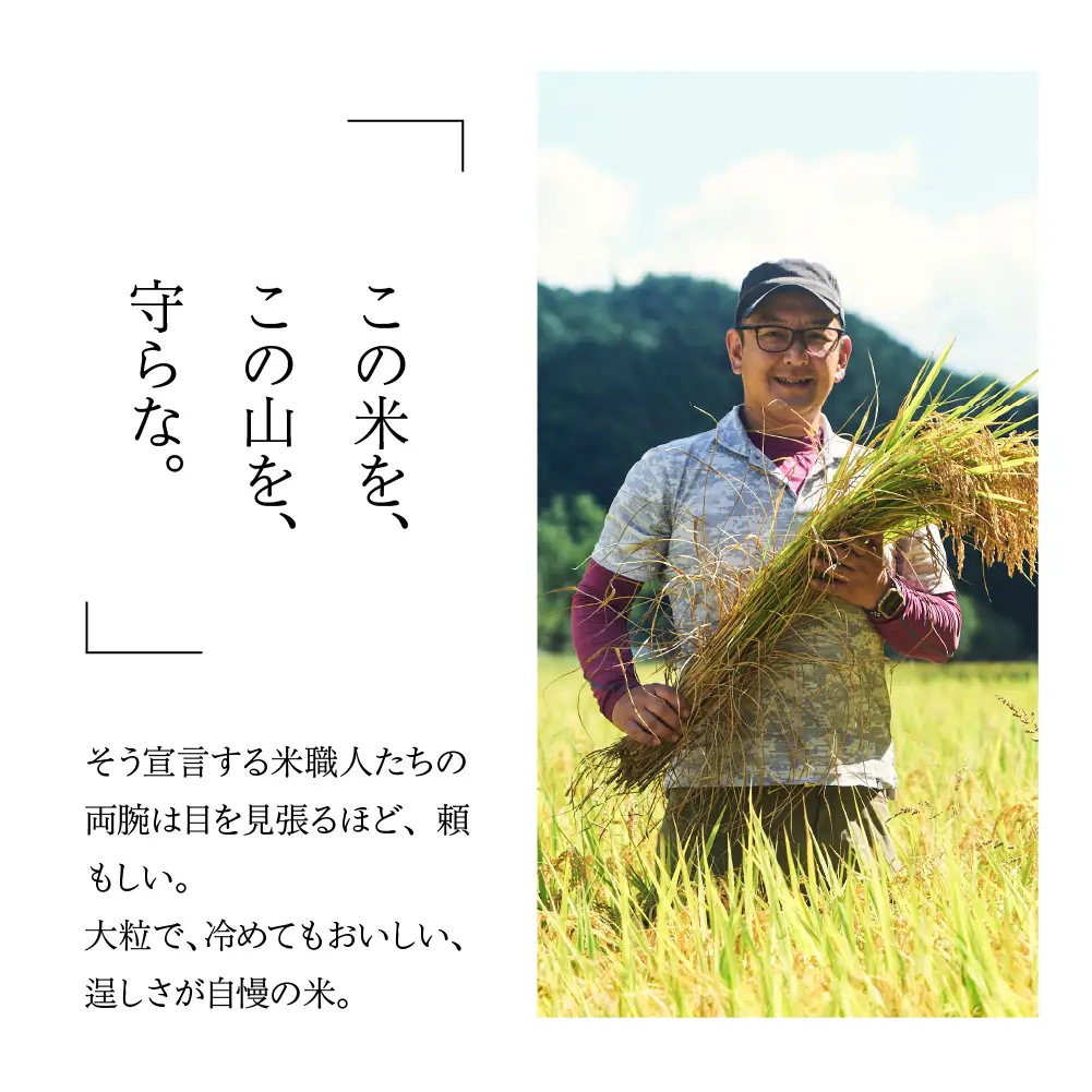 【期間限定】即納【令和7年産米】山仙 (いのちの壱) 2kg×3袋【51-29g】