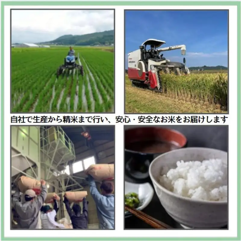 清里米遊 日本酒 コシヒカリ5kgセット 清里米遊 上越産