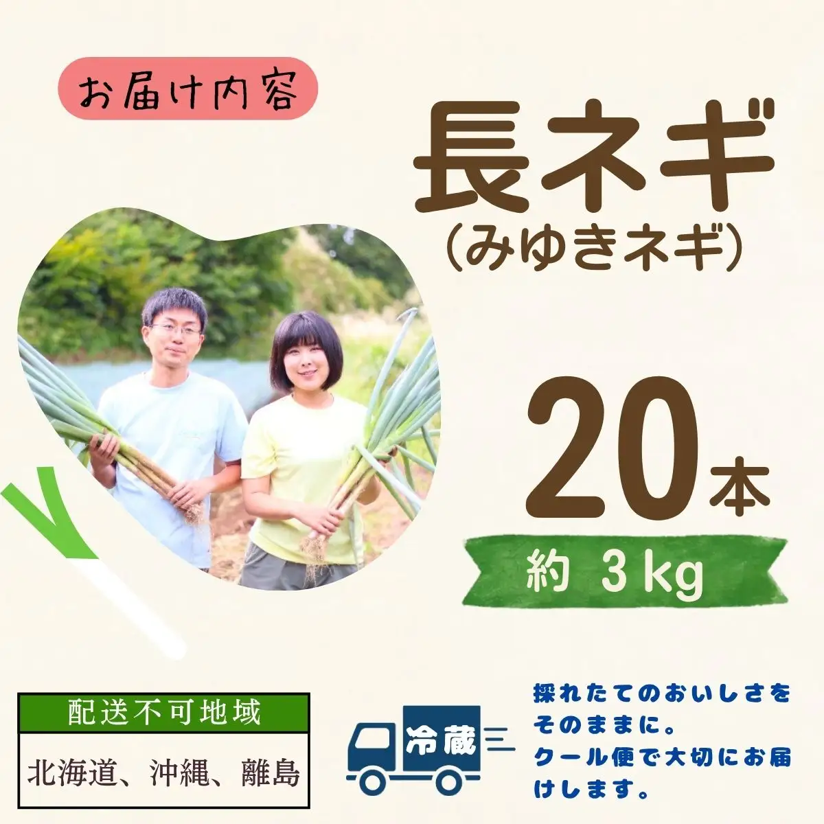 【期間限定】みゆきネギ 2L 20本（約3kg）│めぶく農園
