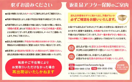  ≪先行受付≫ 山形からおすすめフルーツ定期便【定期便全4回】060-T08