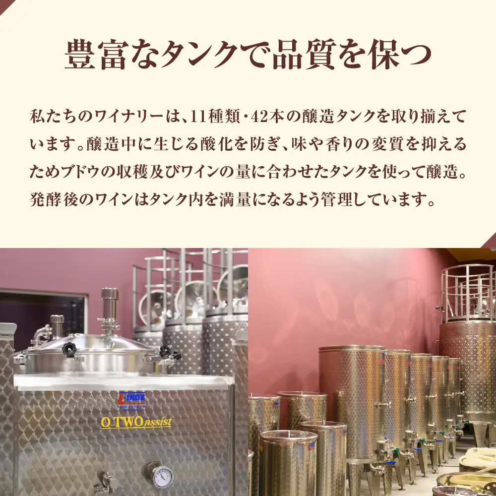 北海道十勝芽室町 清舞【BITO KOICHI】北海道 十勝 芽室町 赤ワイン わいん 果実酒 酒 セット 贈り物 ギフト お祝い 記念日 お歳暮 国産 瓶 お取り寄せ 北海道 十勝 芽室町北海道 十勝 芽室町 me032-065c