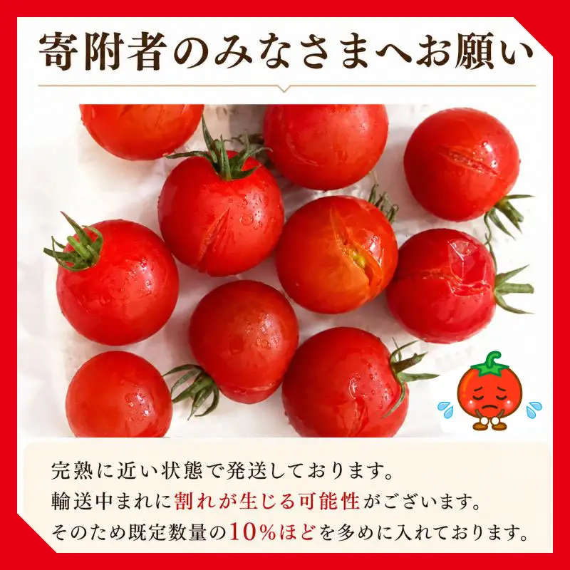 ミニトマト 1kg 訳あり 【ミニトマト】 山本農園