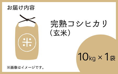 【令和7年産　新米】くらもち完熟米 コシヒカリ 玄米10kg