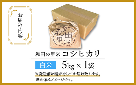 【先行予約】【令和7年産　新米】和田の里米 コシヒカリ 白米 5kg【2025年10月より順次発送】