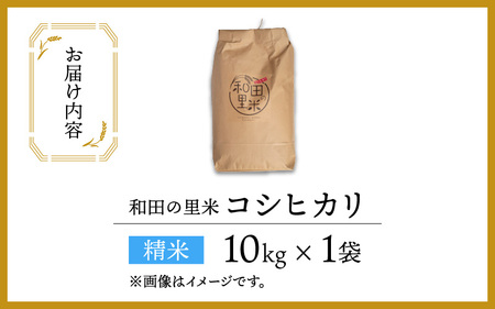 【先行予約】【令和7年産　新米】和田の里米 コシヒカリ 白米 10kg【2025年10月より順次発送】