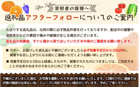 【全3回】紀州和歌山産旬のフルーツ定期便 (スイカ・桃・巨峰) / すいか スイカ もも 桃 白桃 巨峰 ぶどう 果物 くだもの フルーツ フルーツ定期便 和歌山【tkb420】 