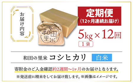 【先行予約】【令和7年産　新米】【12ヶ月定期便】和田の里米 5kg 12ヶ月連続【2025年10月より順次発送】