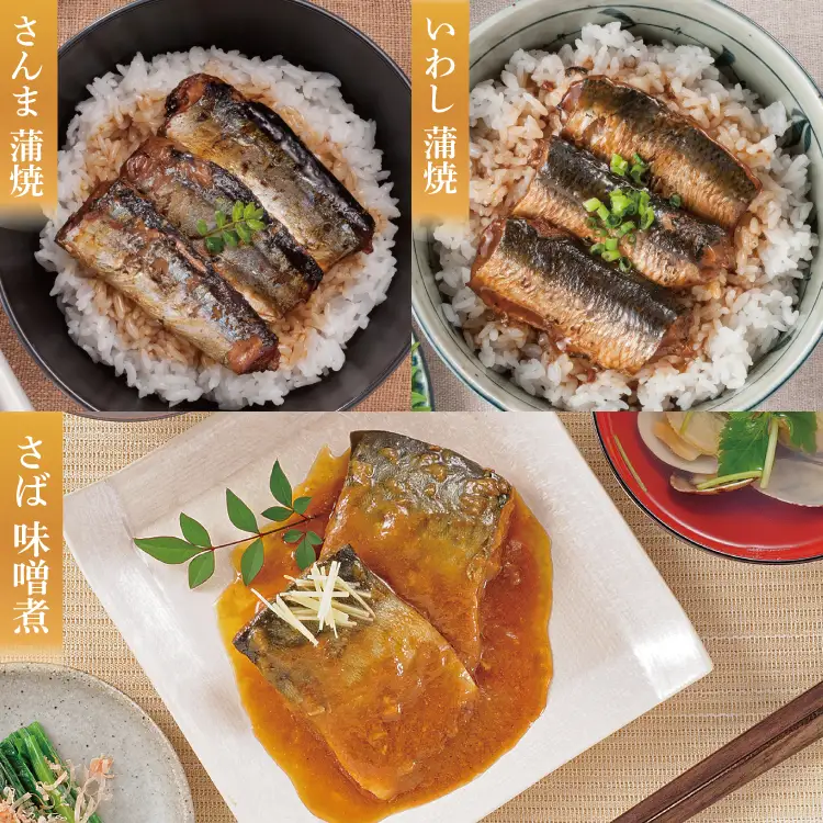 三陸食堂 煮魚 惣菜 セット 6種 9パック 