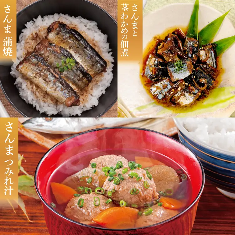 三陸食堂 煮魚 惣菜 セット 3種 9パック 