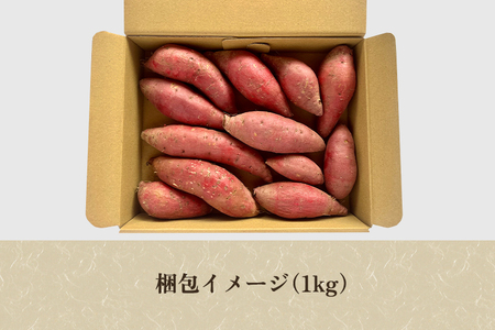 【家庭用】パープルスイート 1kg（A品・B品混在） 七谷産 さつまいも《順次発送》
