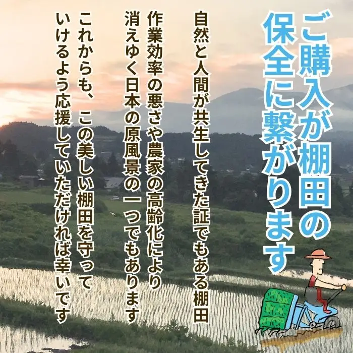 【新米予約】＼2026年10月より3回／こしひかり 10kg 3回 玄米 特別栽培米 『奥信濃の棚田米 実の里』