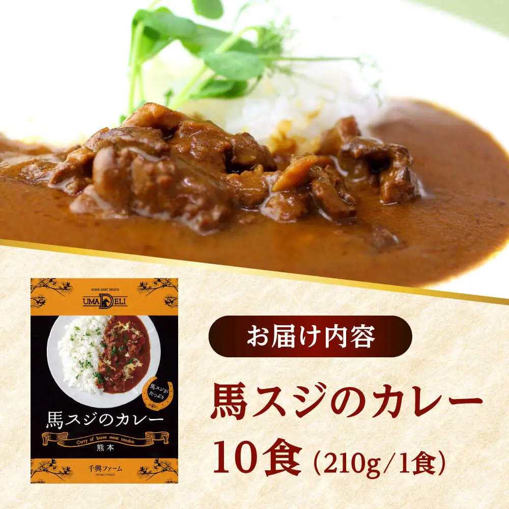 馬スジのカレー 10食 210g×10 計2.1kg カレー[AYAF027]