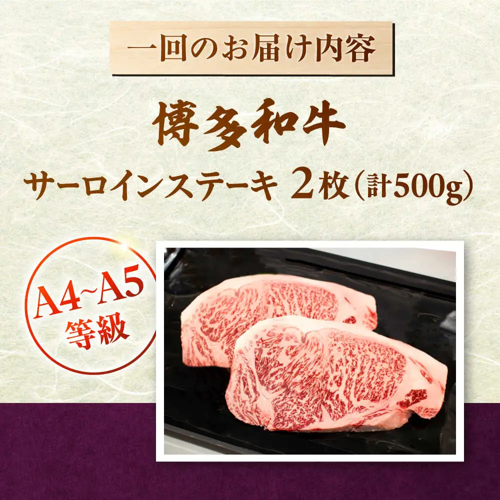 【全12回定期便】博多和牛 サーロイン ステーキ 2枚（計500g） [ADBZ020] 定期便 サーロインステーキ ステーキ肉