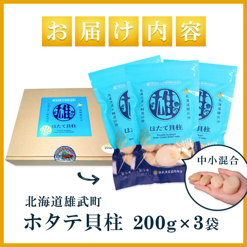 【ふるなびWEEK対象】北海道雄武町産ほたて貝柱 中小混合 200g×3 (冷凍) 使い切りパックFN-Limited-PR【0719501】