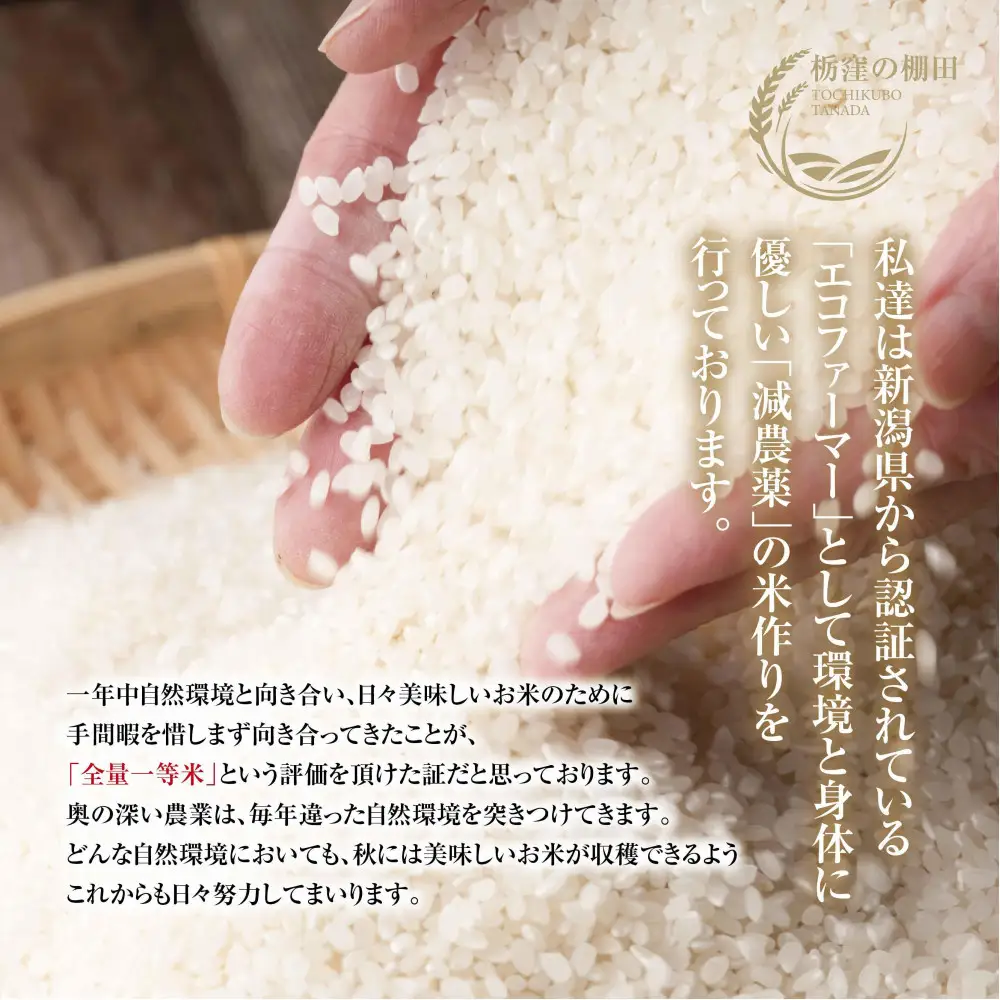 【令和8年産 新米】【栃窪の棚田米限定】南魚沼 しおざわ 栃窪産 コシヒカリ 5kg ｜玄米｜ 日熊の米 農家のこだわり 棚田 こしひかり 農家直送 減農薬 新潟県認証 エコファーマー ベストファーマー 新潟県 南魚沼市  特A お米 こめ  コメ 食品 人気 おすすめ 送料無料【2026年10月中旬より順次発送予定】