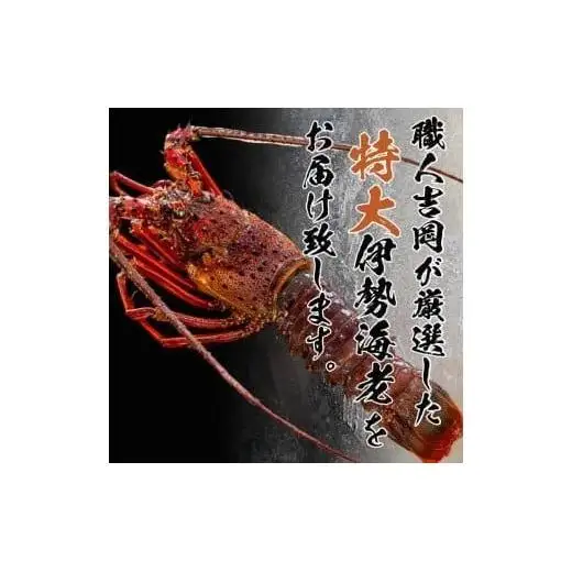 【伊勢海老】 剥き伊勢海老(生食OK)2kg以上