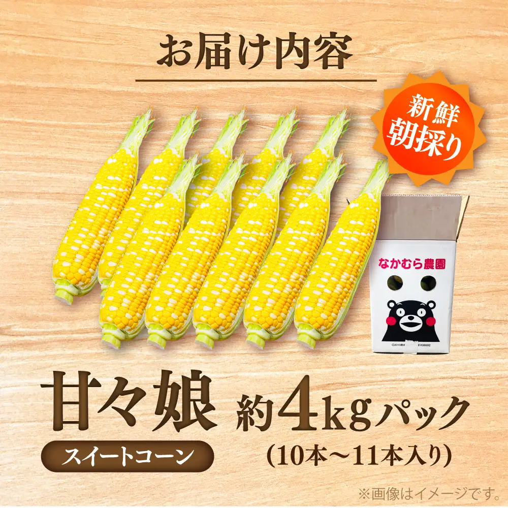 【先行予約】【2027年6月上旬より順次発送】とうもろこし 甘々娘約4kg10~11本BHCJ001 とうもろこし