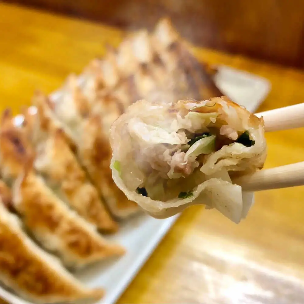 【全6回定期便】【3パック】餃子屋ヒロの ほんのりにんにく餃子 ぎょうざ[BDAS014]