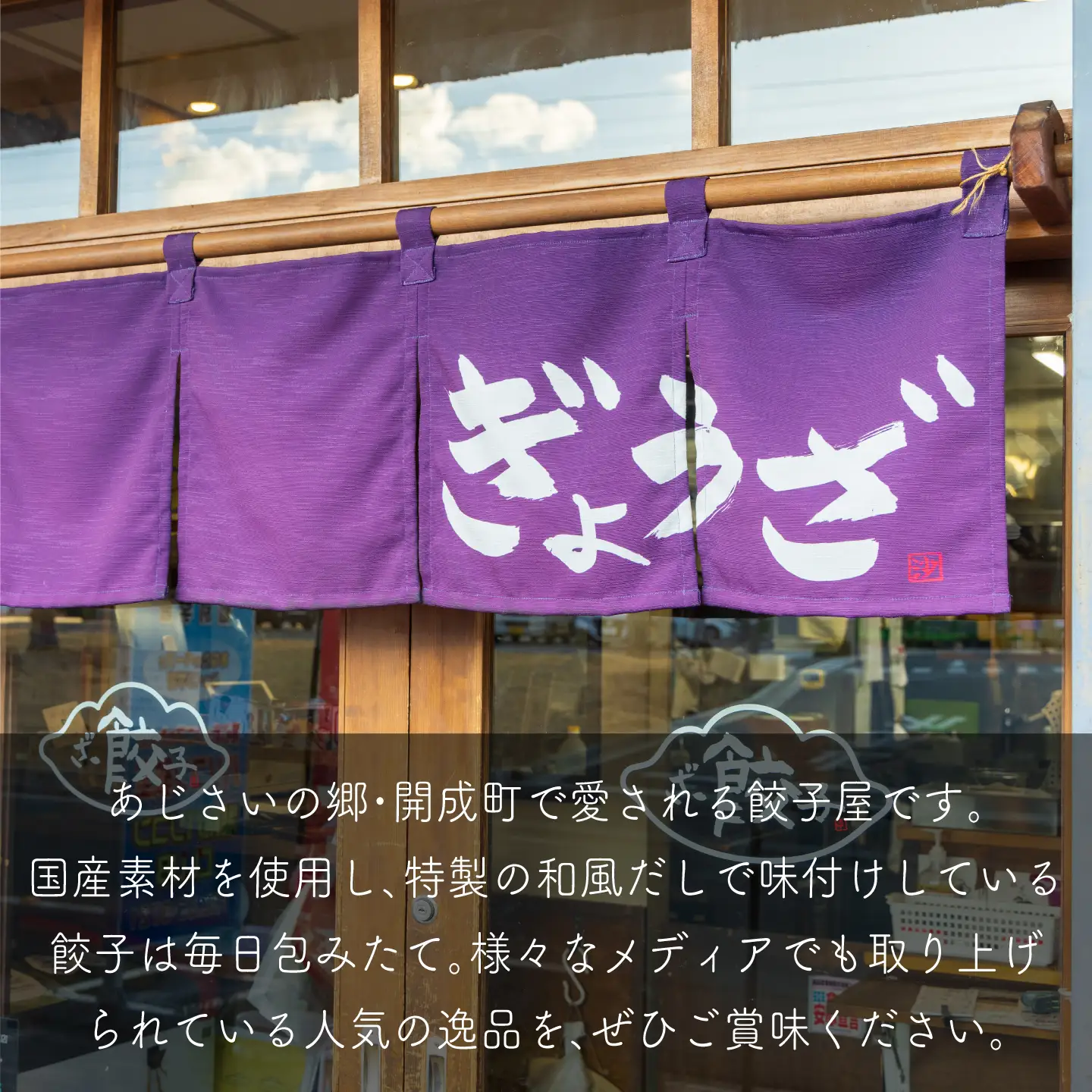 【全6回定期便】【3パック】餃子屋ヒロの 人気のしそ餃子 ぎょうざ[BDAS011]