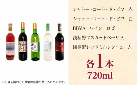 ワイン BIWA浅柄野セット BIAC011 ワイン
