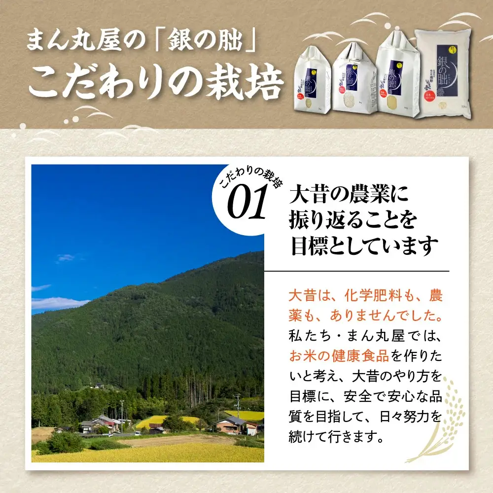 ＜テレビで紹介されました！＞令和8年産 新米【全6回定期便】皇室献上米『銀の朏』1kg 中津川市加子母産 栽培期間中化学肥料不使用 お米 精米 F4N-2886