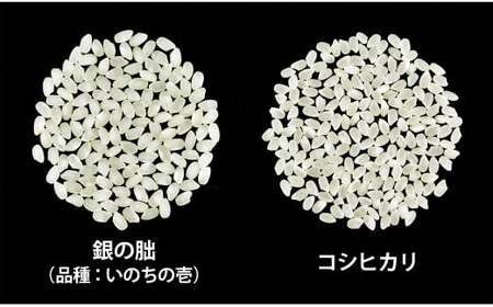 ＜テレビで紹介されました！＞令和8年産 新米【全6回定期便】皇室献上米『銀の朏』5kg 中津川市加子母産 栽培期間中化学肥料不使用 お米 精米 F4N-2892