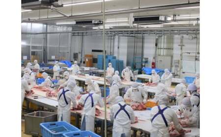 【定期便・全3回】豚肉満足定期便（国産 豚肉 大容量 小分け 冷凍 定期便 冷凍 送料無料）
