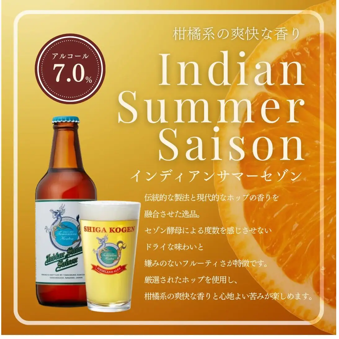 クラフトビール 志賀高原ビール 12本 玉村本店 クラフトビール