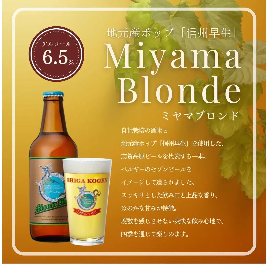 クラフトビール 志賀高原ビール 24本 玉村本店 クラフトビール