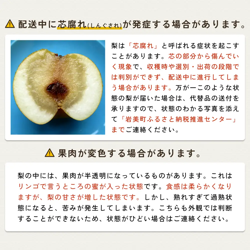 【先行予約】中野農園 梨 ”新甘泉” 3kg箱｜鳥取 岩美 梨 なし ナシ※お届けは2026年8月下旬以降【41020】