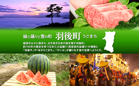 【返礼品なし】秋田県羽後町への寄付 応援 支援 寄附のみ 5,000円【羽後町ふるさと納税】