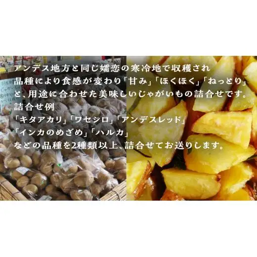【 2025年 7月 発送開始 】 《3か月定期便》旬の野菜3種 419キャベツ 恵味トウモロコシ じゃがいも きゃべつ 嬬恋村産キャベツ 羽生田売店 幻のキャベツ419 [AL018tu]