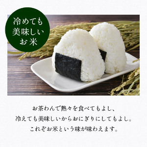 【令和7年産】 丹波篠山産 コシヒカリ 5kg 白米 白米 単一原料米 産地直送米 おいしい お米 精米 コシヒカリ ブランド おこめ 健康 送料無料 おすすめ 人気 口コミ MTS002