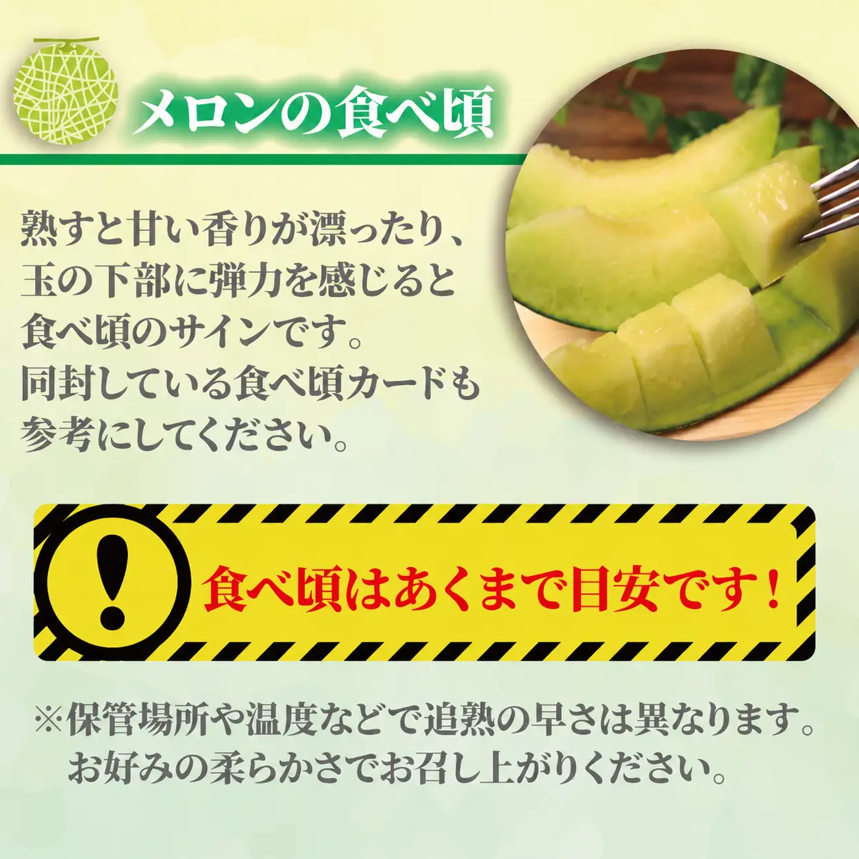 タカミメロン 3~6玉 訳あり 約 5. 5kg メロン