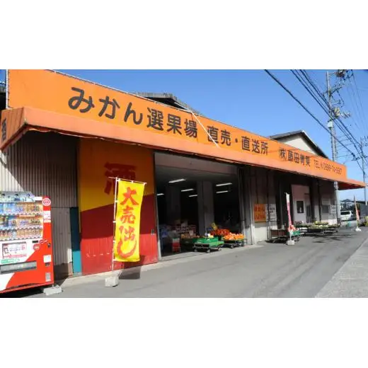 愛媛の夏橙（なつみかん）だけでつくった マーマレード 3個セット
