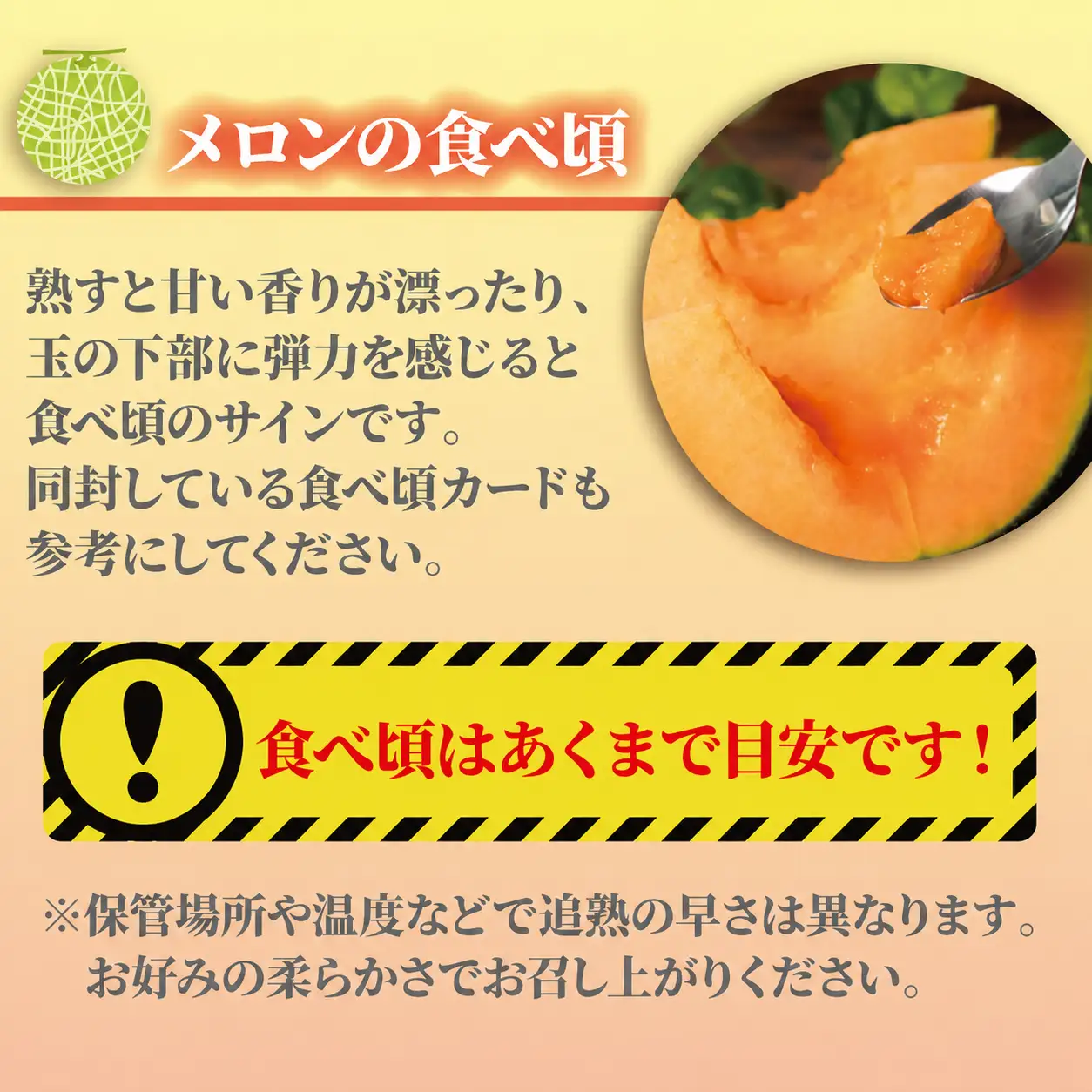 【先行受付】 メロン  赤肉 訳あり 約5.5kg  メロン
