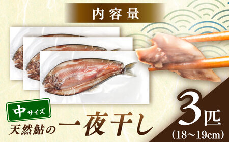 天然あゆ の一夜干し 中 3匹【スピード配送】/ 恵那市 / 恵那物産館 [AUFS001]