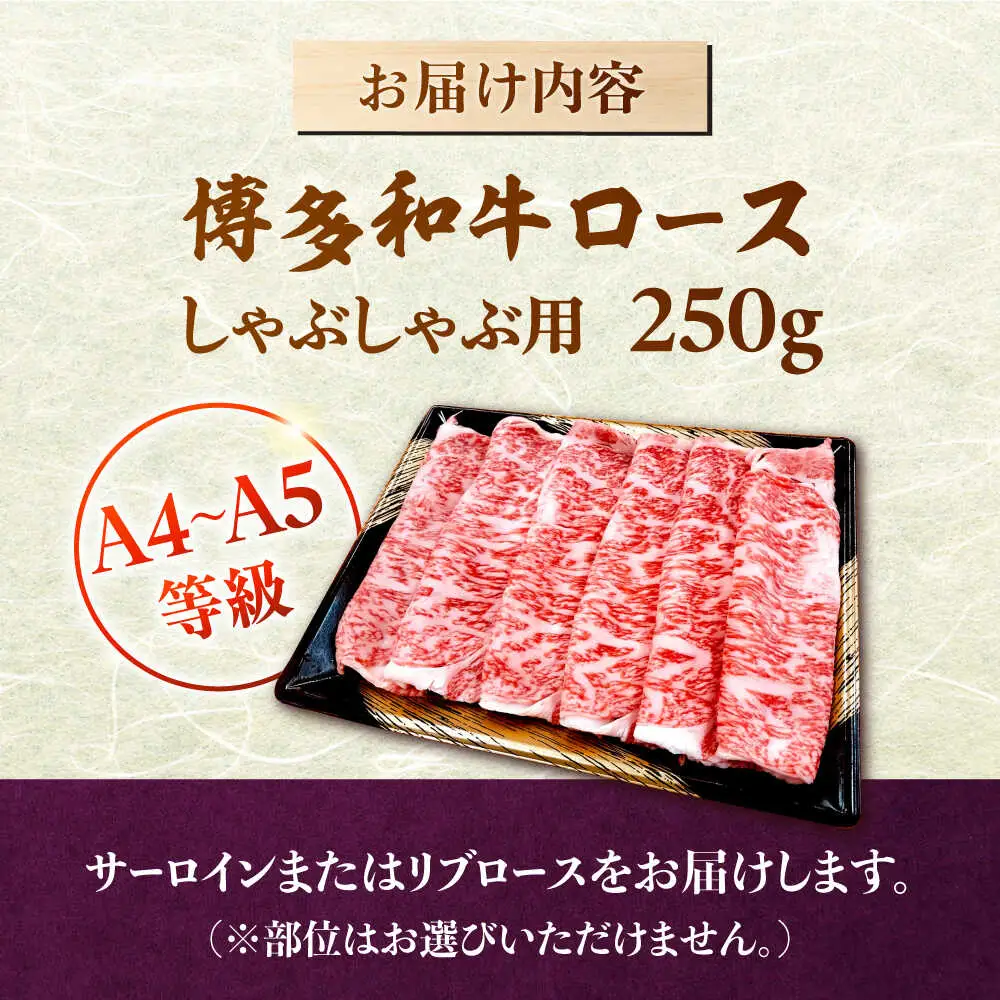数量限定 博多和牛 ロース しゃぶしゃぶ用 250g [ADBZ041] 牛肉 赤身 国産