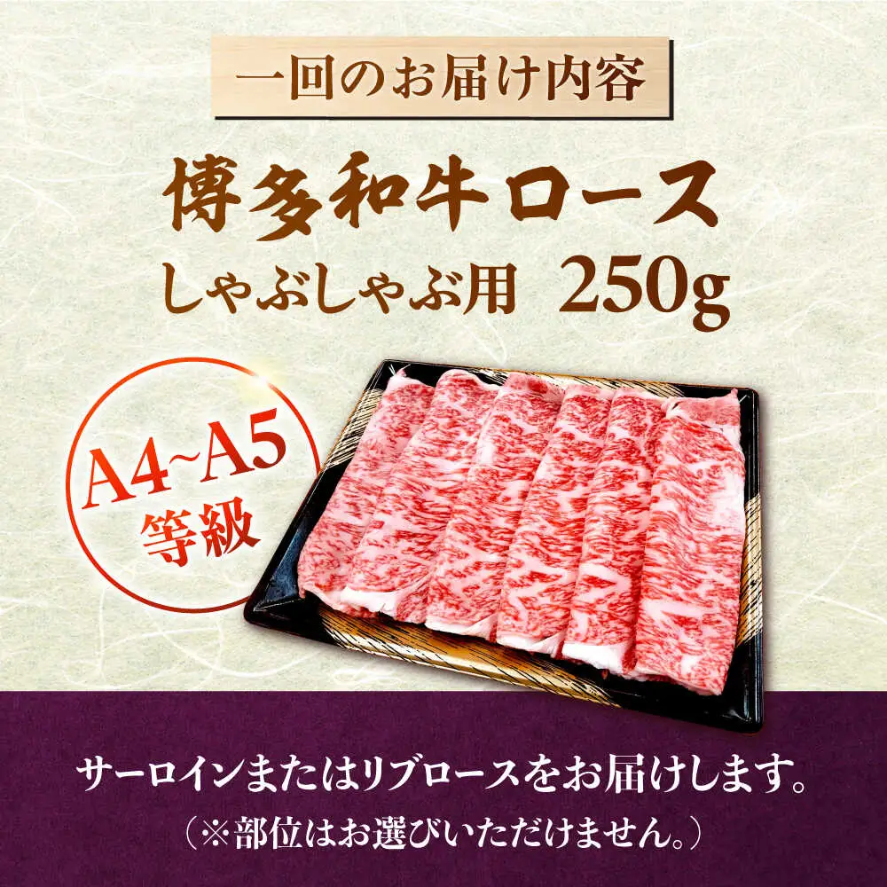 【全12回定期便】【数量限定 博多和牛】ロース しゃぶしゃぶ用 250g 桂川町/株式会社チクゼンヤ [ADBZ044] 牛肉 赤身 国産 定期便