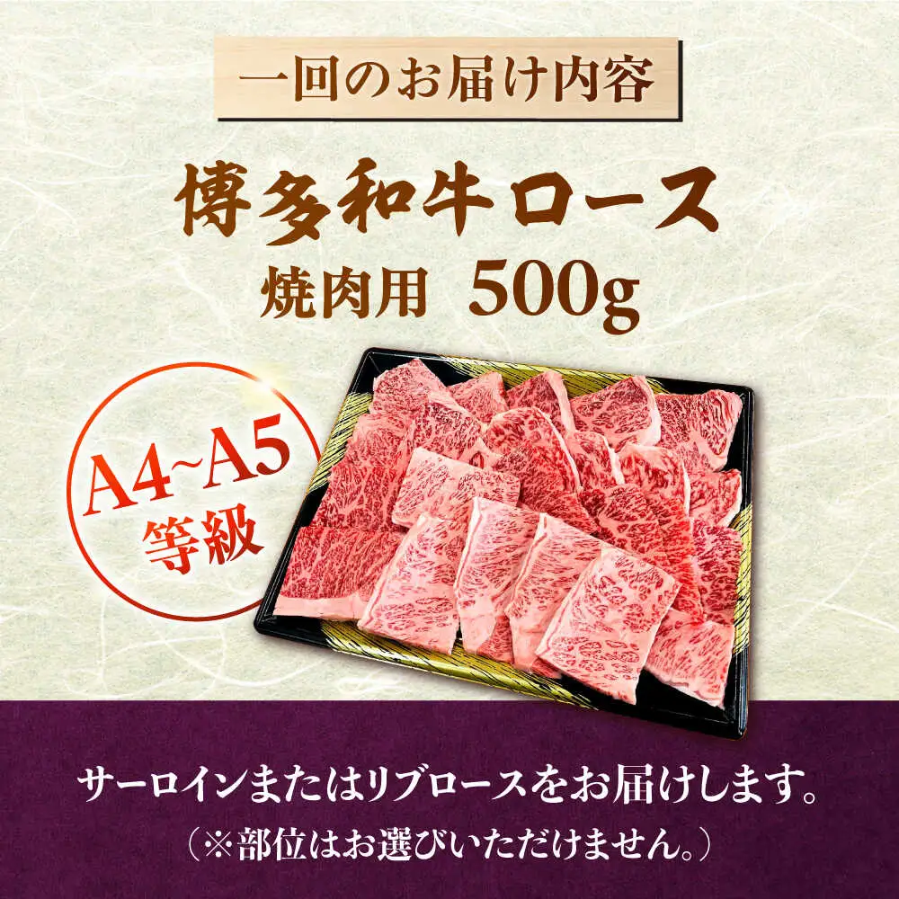 【全6回定期便】【数量限定 博多和牛】ロース 焼肉用 500g 桂川町/株式会社チクゼンヤ [ADBZ047] 焼肉 焼肉用 牛肉 国産 定期便