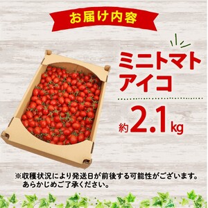 【先行予約】アイコ ミニトマト 2.1kg トマト 牧之原 静岡県 松下農園