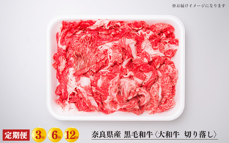 【 定期便 6回 】 奈良県産 黒毛和牛 大和牛 切り落し 500g ( 250g x2) ｜ブランド牛 和牛 金井畜産