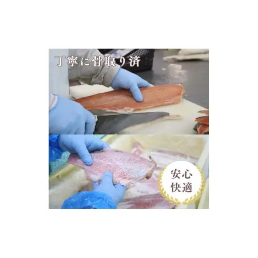 家族でも満足！大容量西京漬けの銀鮭80g×10切れ(800g）