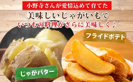 じゃがいも きたあかり 小野寺農園 北海道産 じゃがいも【10kg】【先行予約】