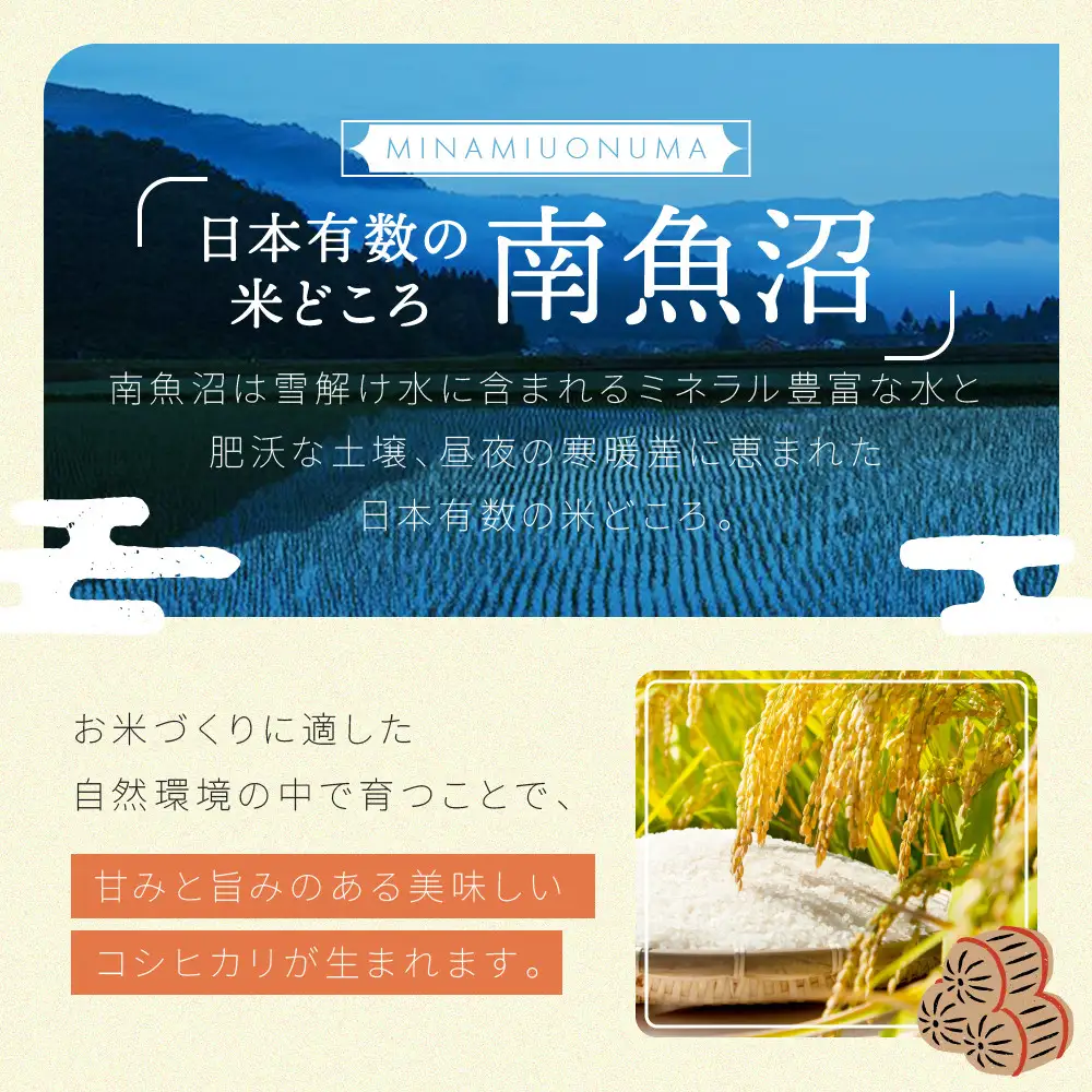 【令和7年】南魚沼産コシヒカリ 白米 5kg | コシヒカリ