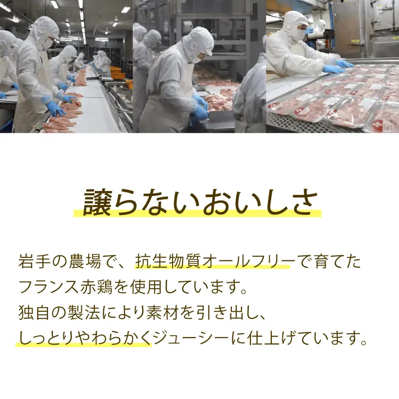 チキンステーキ 2種 セット ( 和風 & ガーリック ) × 計 8 パック