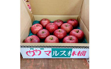 青森りんご サンふじ 特選品 (大玉) 約5kg (12玉) 【マルス果樹園】 F21U-295