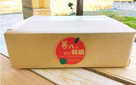 青森県南部町産 濃厚りんごサンふじ 約10kg 【アグリーデザイン】 スタンダード F21U-036