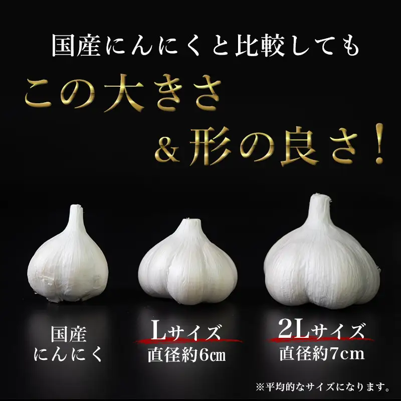 南部町営市場 直送 にんにく「ふくちホワイト六片種」（2Lサイズ×7個） 《カネテ青果》 F21U-124